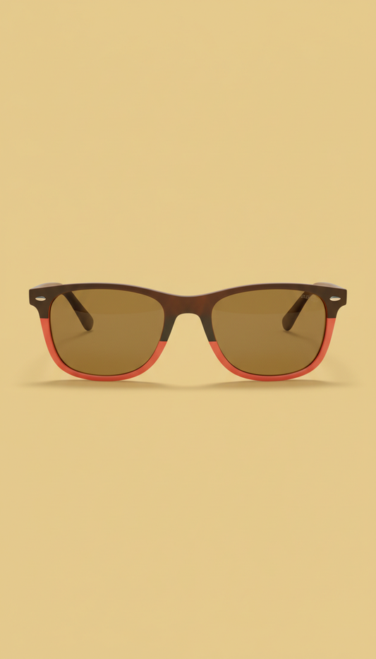 Classic wayfarer sunglasses in beach brown